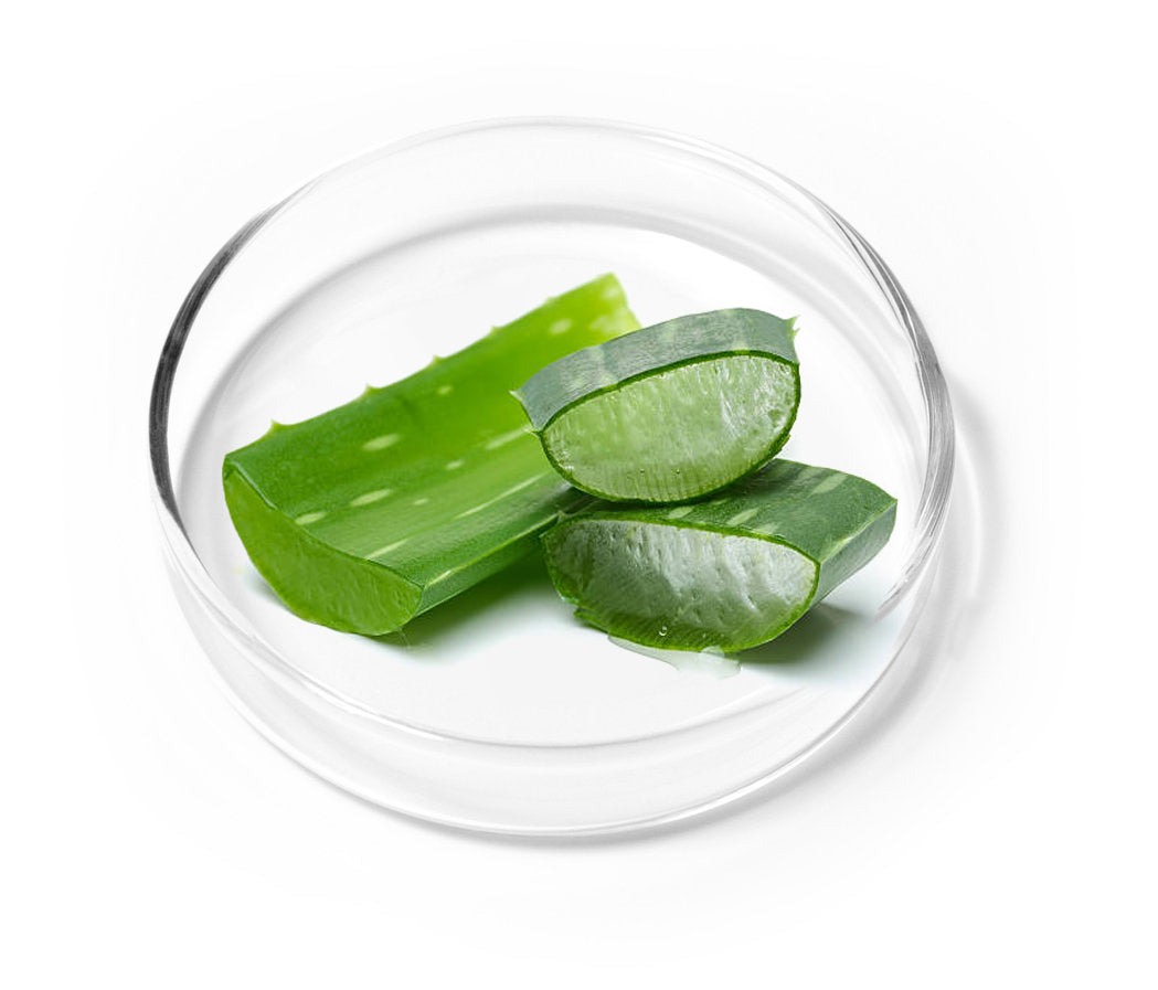 Ingredients List | Transparency Matters - Scandinavian Biolabs